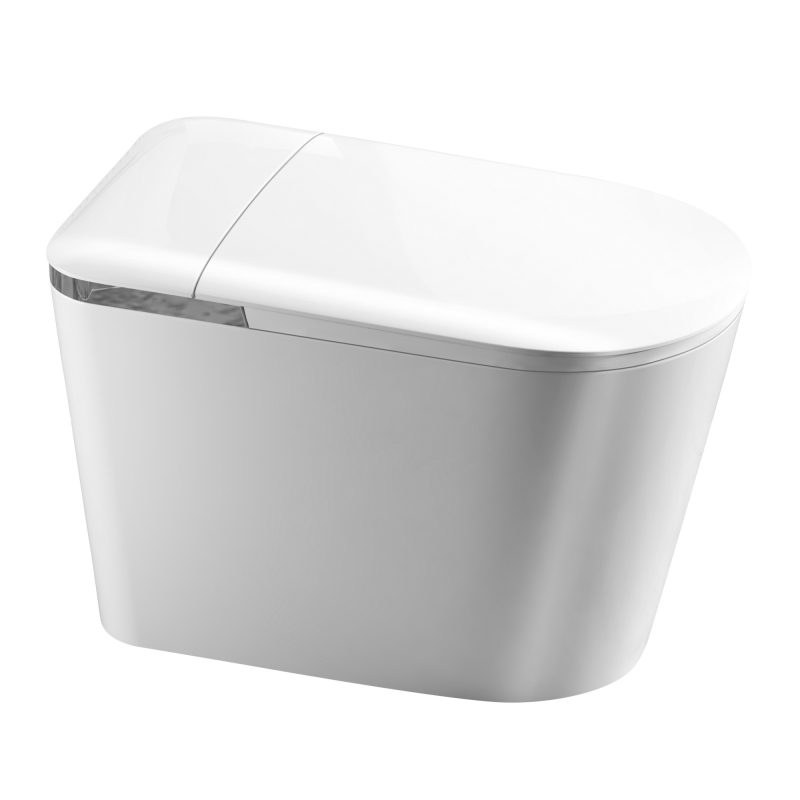 MT9246 Non-Electric Bidet Toilet wiht MAP 1000g Flush