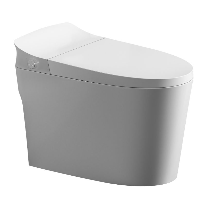 MT9250 Non-Electric Bidet Toilet wiht MAP 1000g Flush