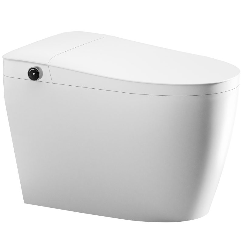 QL-9 Non-Electric Bidet Toilet wiht MAP 1000g Flush