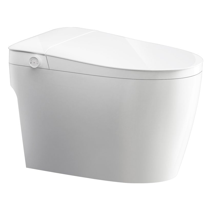 QL-10 Non-Electric Bidet Toilet wiht MAP 1000g Flush