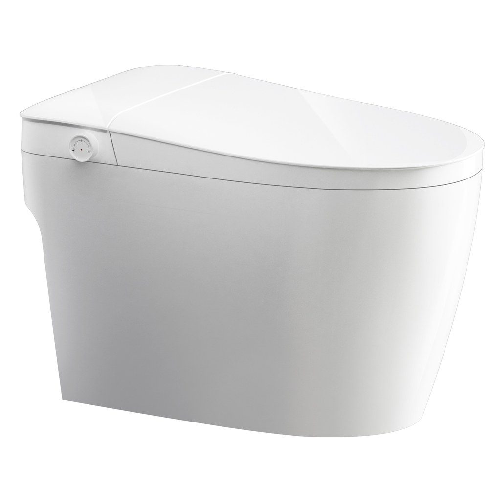 Toilet ceramic glaze and finish inspection